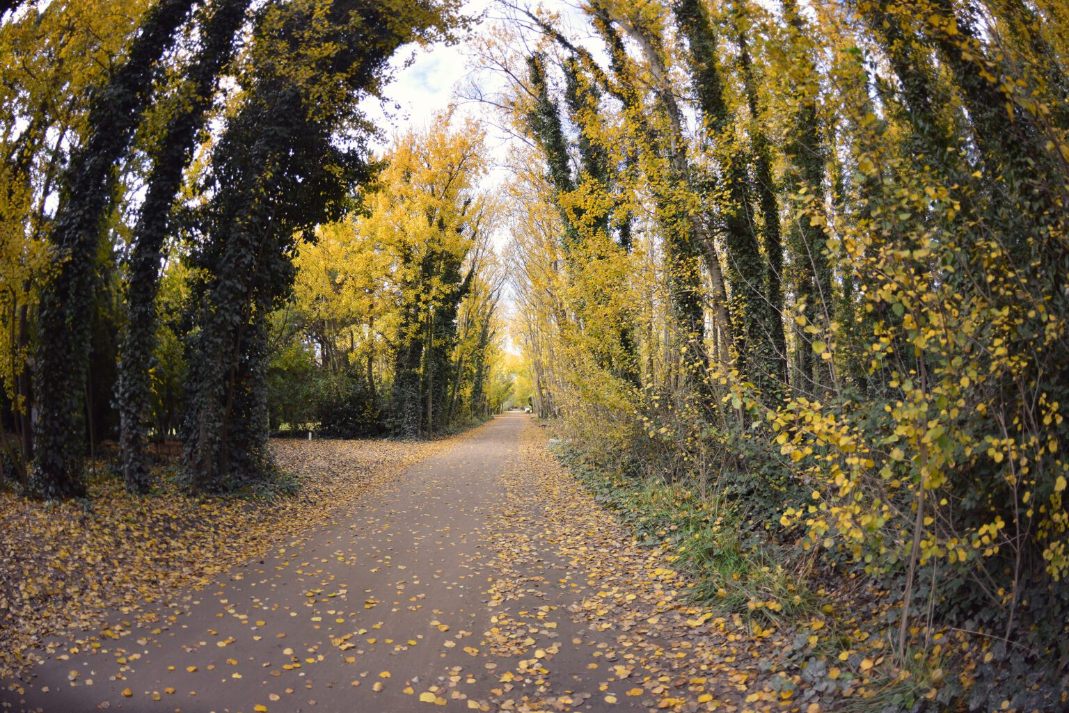 Foto obtenida de https://prensamarchiquita.com.ar/ , Autor: ARIEL PERISSINOTTI.